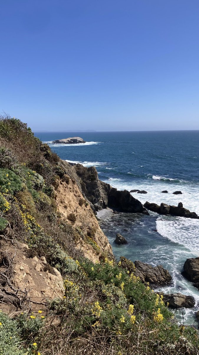saigaa319's tweet photo. Point Reyes https://t.co/tIAYdP9kW8