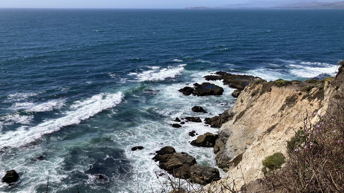 saigaa319's tweet photo. Point Reyes https://t.co/tIAYdP9kW8