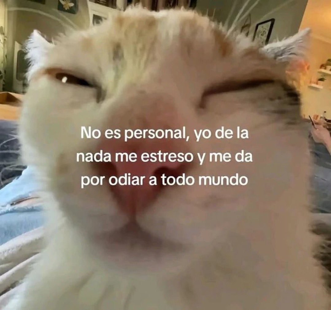 henriqez tweet media