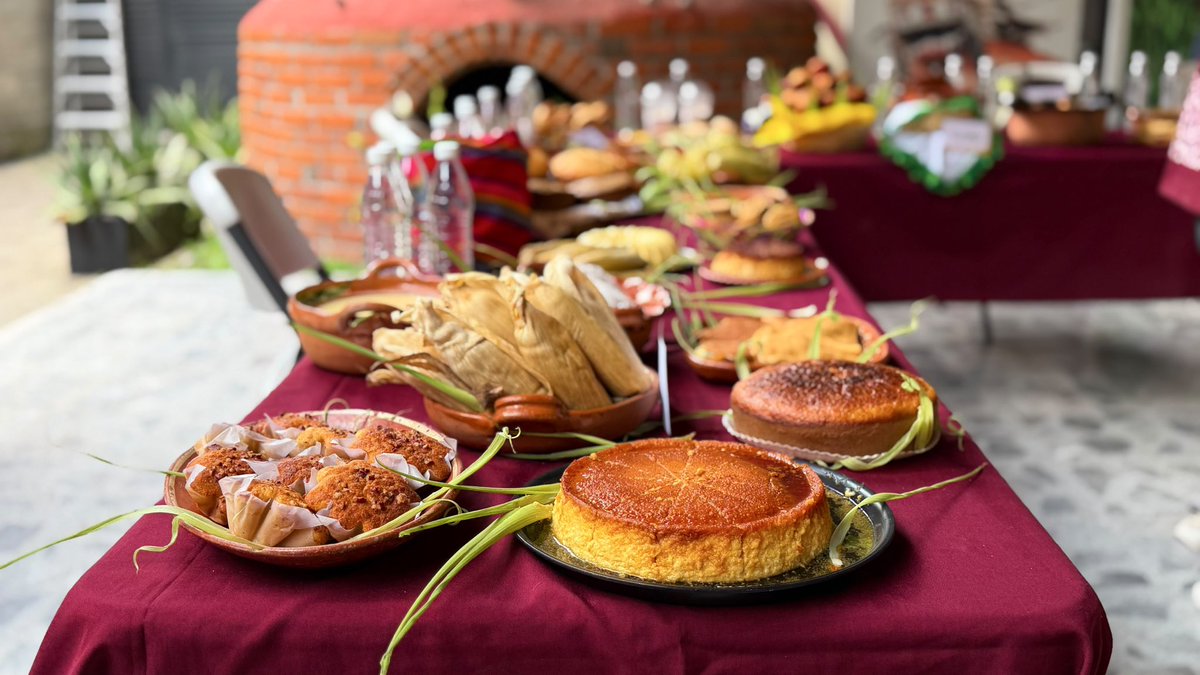 bereheca's tweet photo. Ya nos estamos preparando para vivir una de las tradiciones más queridas de Tláhuac. 🌽

En conferencia de prensa presentamos la Feria del Elote y la Tortilla San Juan Ixtayopan 2026, que del 8 al 16 de agosto reunirá a más de 150 expositoras y expositores con una gran variedad de platillos y productos elaborados con el sabor y la tradición de nuestro pueblo.

Me dio mucho gusto compartir este momento con el diputado @Robertomejiamen @elgallolagunero Secretario de Asuntos Indígenas, y con @NJuarez_SEPI , Secretaria de Pueblos y Barrios Originarios y Comunidades Indígenas Residentes.

Las y los esperamos para disfrutar en familia de una feria que nos llena de orgullo y que refleja la riqueza de San Juan Ixtayopan.