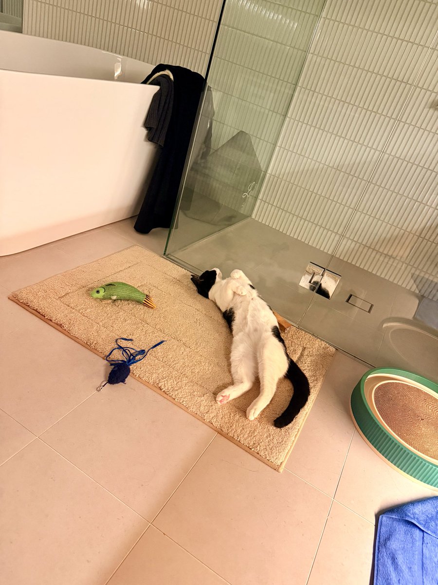 tyDi's tweet photo. He is actually alive I promise https://t.co/4lvUH4w9l8