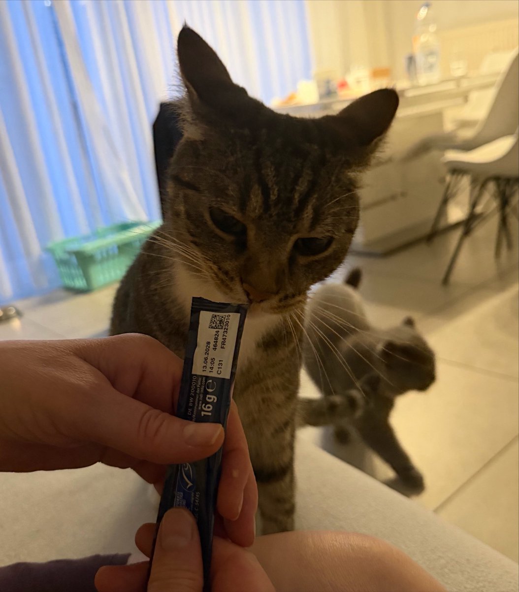 milo😼 tweet media