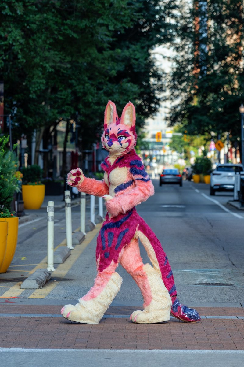 Hellhoundvetica's tweet photo. RT @PinkDrinkServal: Animal Crossing (the road) 

📷: @Future_Terminal 
✂️: @wurongcat 
#FursuitFriday #furry #AC2026 https://t.co/2t92uAWlCo