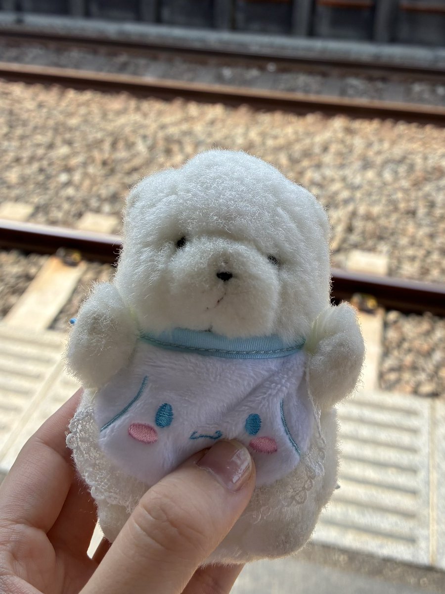 gomame_c's tweet photo. すずしさ きたいふく
こうしゃをとりました🏜🪽 https://t.co/LNdo5PAt9O