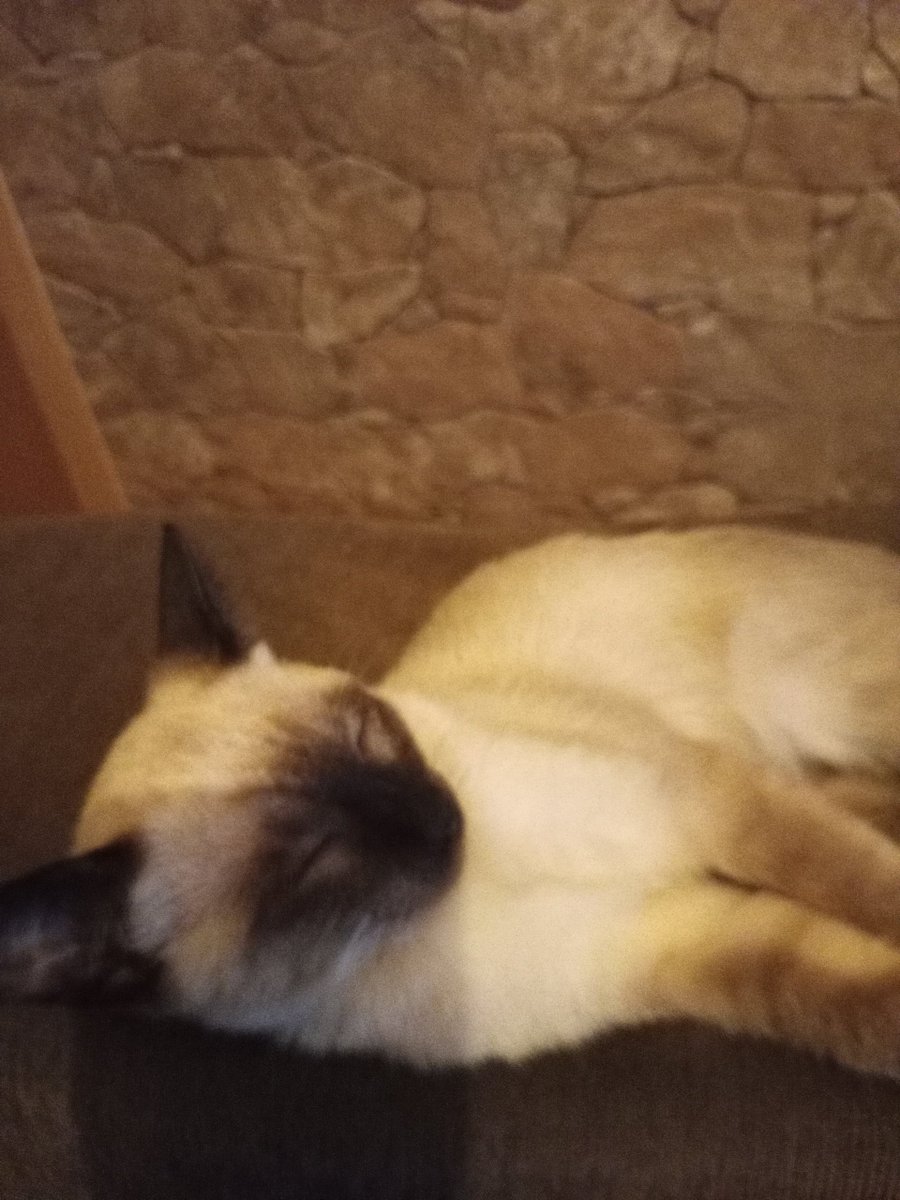 FinorsX's tweet photo. @canalkleberiano Minha bebe https://t.co/0uLWPLUXp3