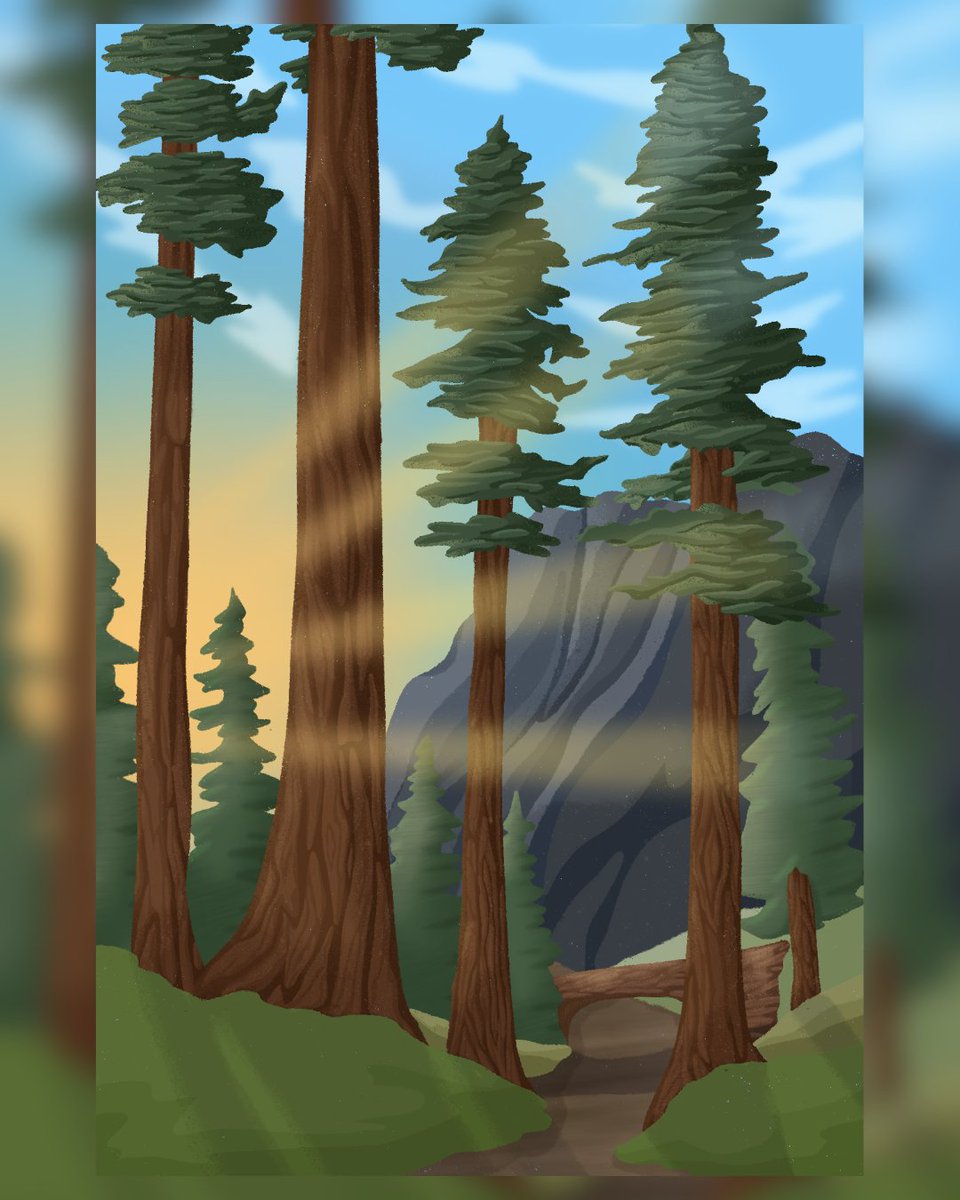 HannahReeStudio's tweet photo. Sequoia National Park https://t.co/HOYzBjsoj0