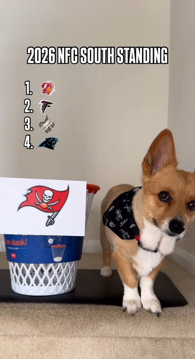 Samyouel56's tweet photo. It's over for the rest of the NFC South https://t.co/B0o9qDs2hF