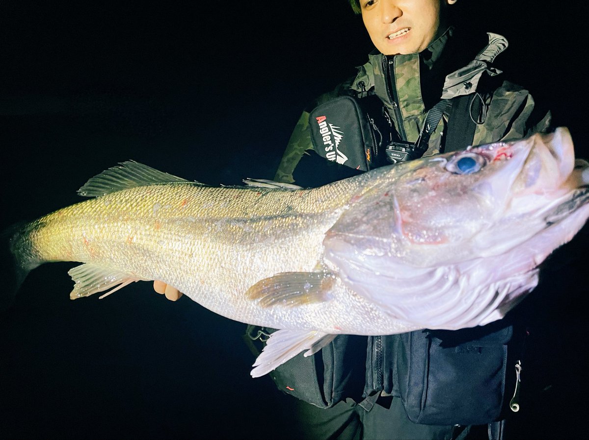 kimnyfishing's tweet photo. 月末棚卸し
今月もランカー👍
悲惨な7月だった https://t.co/Brcf3b87Tk
