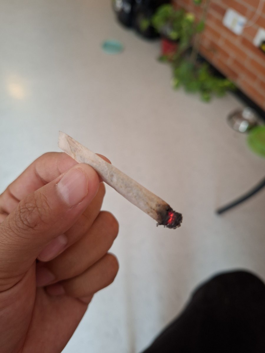 Lauueed's tweet photo. Cuando estoy triste, me hago un porrito. https://t.co/k3bwFbvLhz