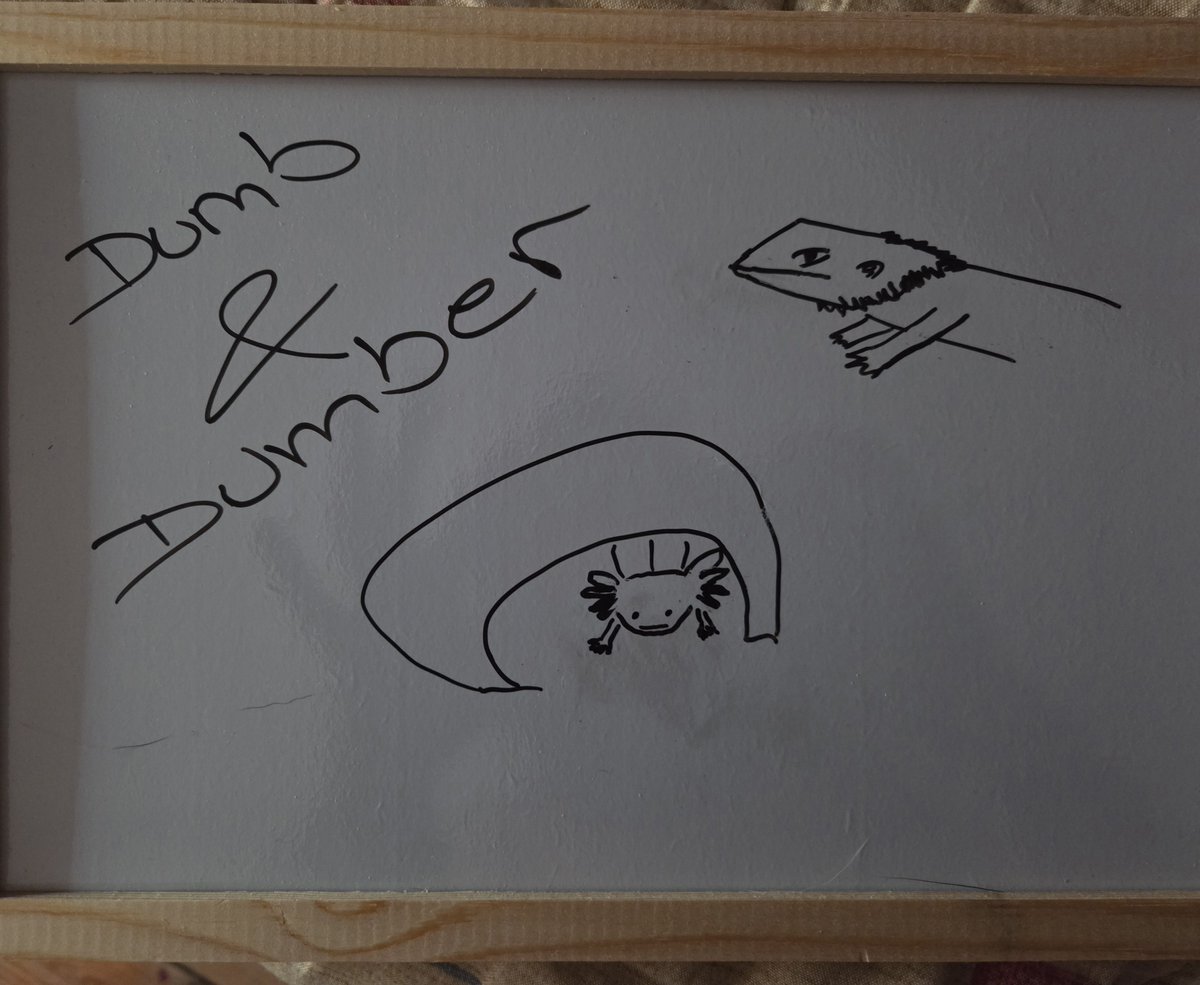 Bakayapi_Chills's tweet photo. I am draw. I make arth. I am dumnest. https://t.co/D19eJXfjv7