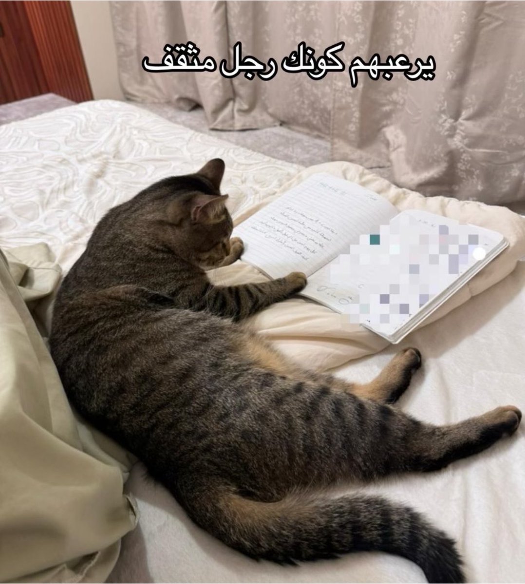 llAsoolI's tweet photo. @negro0tb @Freesia_soap @yid7x5 متاكده زيتون بيفوز وبسس https://t.co/FxJnLA4VJI