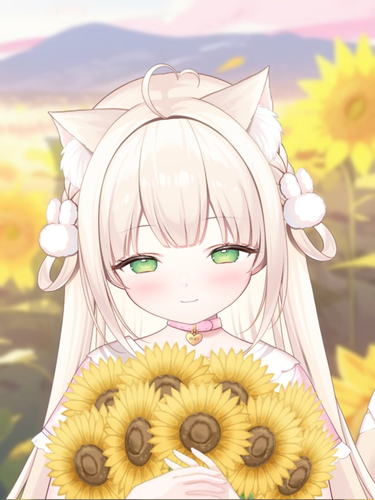 nyauroll's tweet photo. 8月🌻素敵な夏過ごしてね https://t.co/ZUu63pnzH2