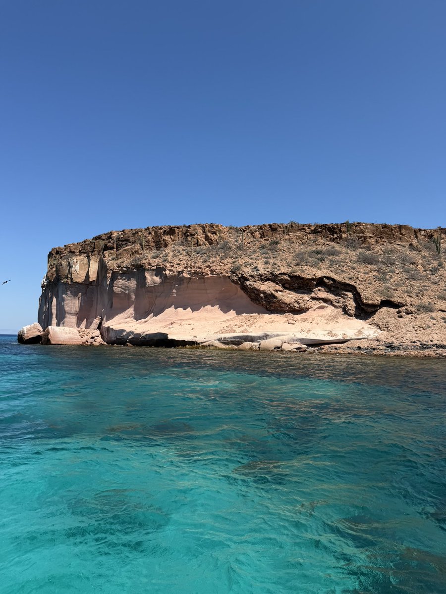 Omar_Monroy_'s tweet photo. La Paz, BCS. https://t.co/4w4mA73WoH