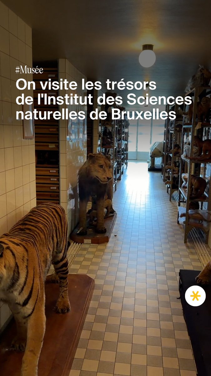 bruxelles_pqym's tweet photo. https://t.co/dz7bNqX7xX