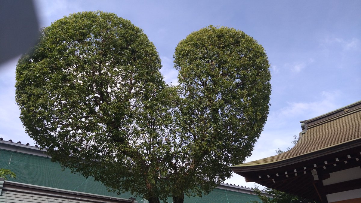 asagi0413's tweet photo. そんなわけで脇浜神社のついたち参り完了ー https://t.co/GBqARSi5R1