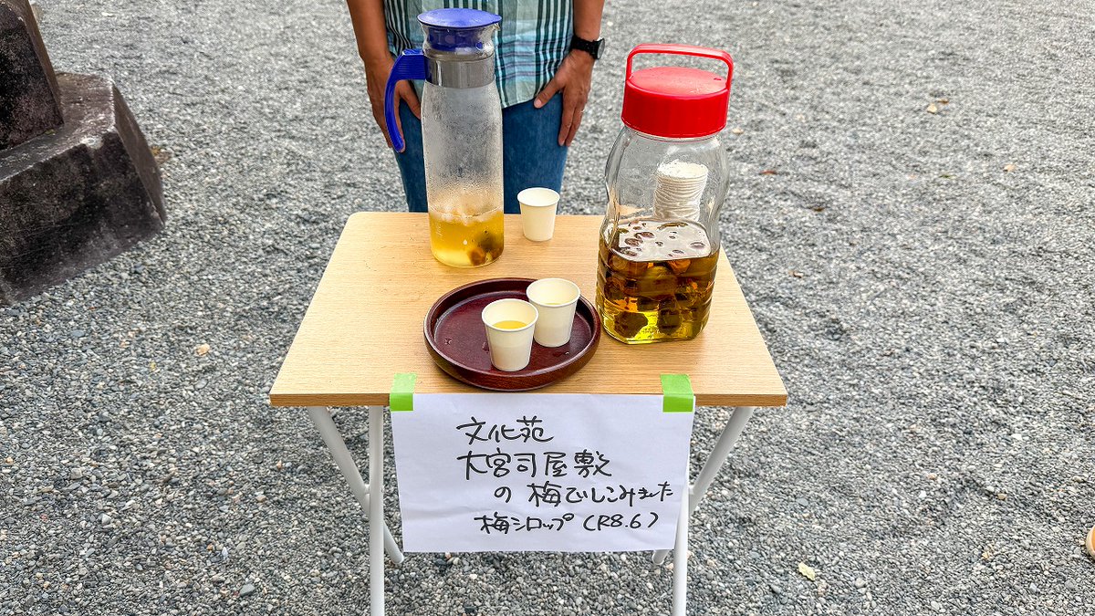 HitokumaCH's tweet photo. 8月の始まりに、#青井阿蘇神社 へ月初めのお参りに。
茅葺きの社殿に手を合わせ、地域の安全と一日も早い復興、穏やかな日々が戻ることを祈りました。
境内には神饌米やお清めの塩が用意され、大宮司屋敷の梅で仕込まれた梅シロップのおもてなしも。
蓮池に静かに咲く白い蓮の花が、新しい月を迎える心をそっと整えてくれるようでした。
#熊本 #人吉
