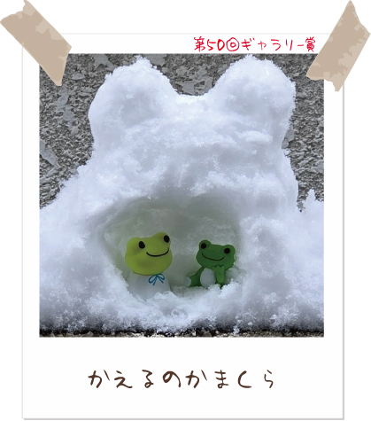 かえるのピクルス/pickles the frog (@picklesthefrog6) / Posts / X