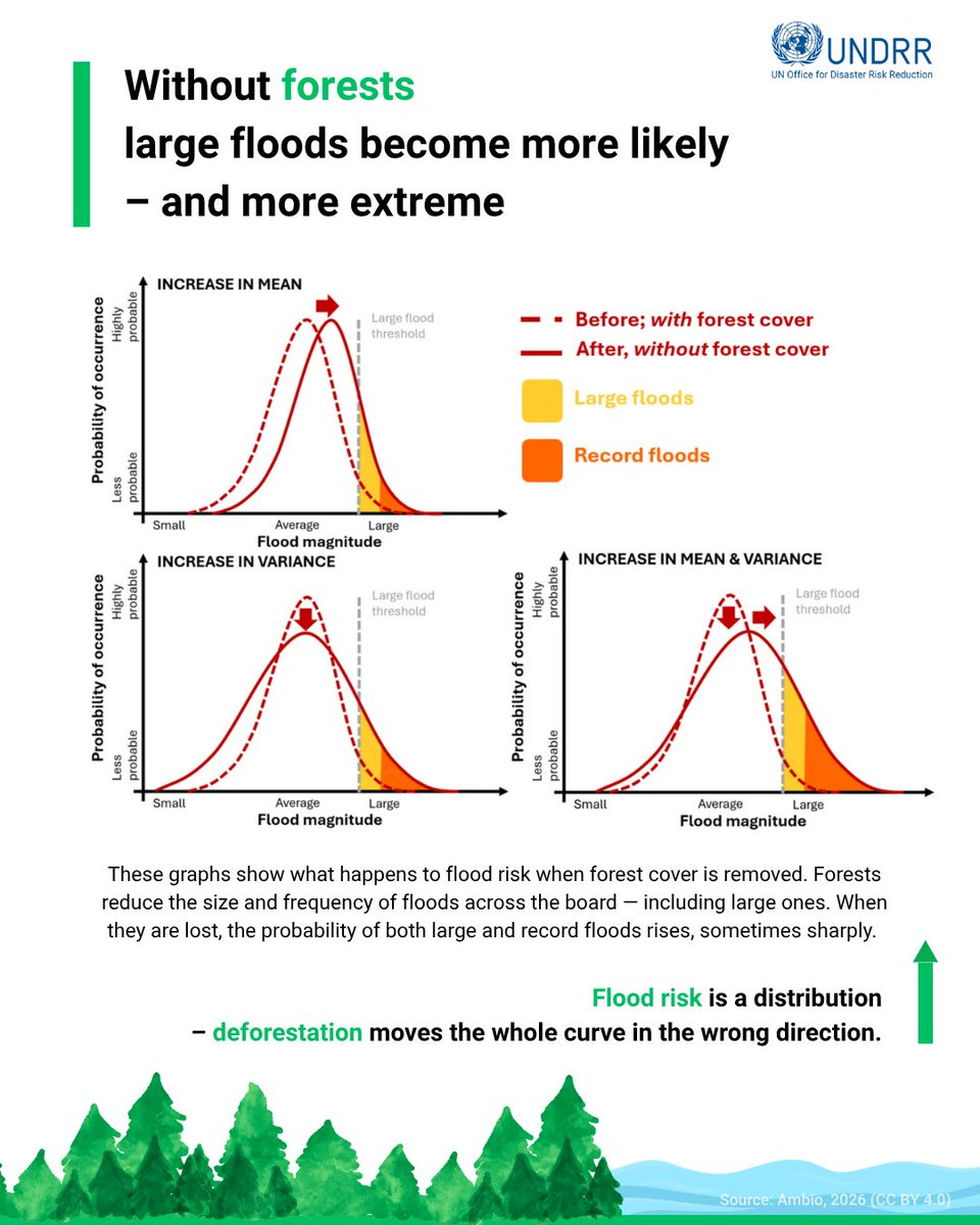 UNDRR's tweet photo. Forests reduce the probability of all floods โ including the largest events. ๐ณ
This new research challenges assumptions that forests only protect against smaller events.
Protecting nature is effective DRR. ๐ฟ
โก๏ธ https://t.co/uAPsBjrG27 #NatureBasedSolutions https://t.co/I3UXEH13AJ