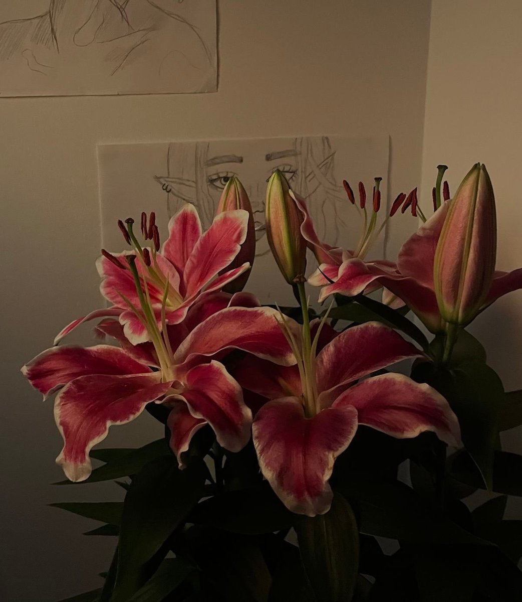 calmlivng tweet picture