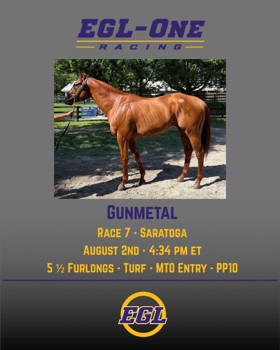 EGLOneRacing's tweet photo. New colors. New chapter. 💜💛

Gunmetal makes his first start for EGL One Stables &amp; Lucky Hat Racing this week at Saratoga.

Now trained by Amelia J. Green, we’re excited to see this graded stakes placed son of Gun Runner carry the purple &amp; gold. 🏇 https://t.co/cZP2oFfxzw