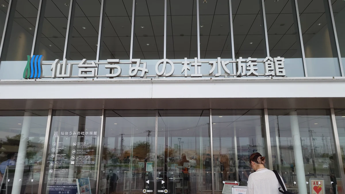 もっち on X: 