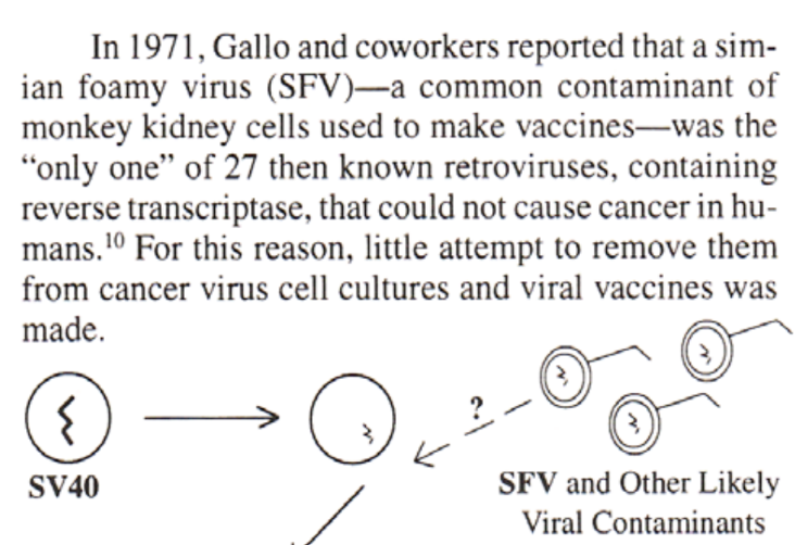 Jikkyleaks's tweet photo. What people don't understand is that scientists who work for pharma corporations and DARPA have two characteristics
1⃣ They are really stupid
2⃣ They think they can do anything they want and don't care about the consequences to the public. 

Merck and DARPA have been making viruses and "vaccines" using contaminated cell lines for decades. And testing their "vaccines" on insitutionalised children and children in Africa so that they can bury the bodies. 

If you want to know where AIDS came from and why there is an epidemic of cancers in younger people, start here. 

And for God's sake shut down DARPA. And BARDA. And Fort Detrick. 

@SecKennedy @JesslovesMJK @MaryanneDemasi @DrJulieSladden @FactMissionOrg 

How measles vaccine is live measles virus and institutionalsed children were used for experimentation by Merck: https://t.co/A34u7SamFB