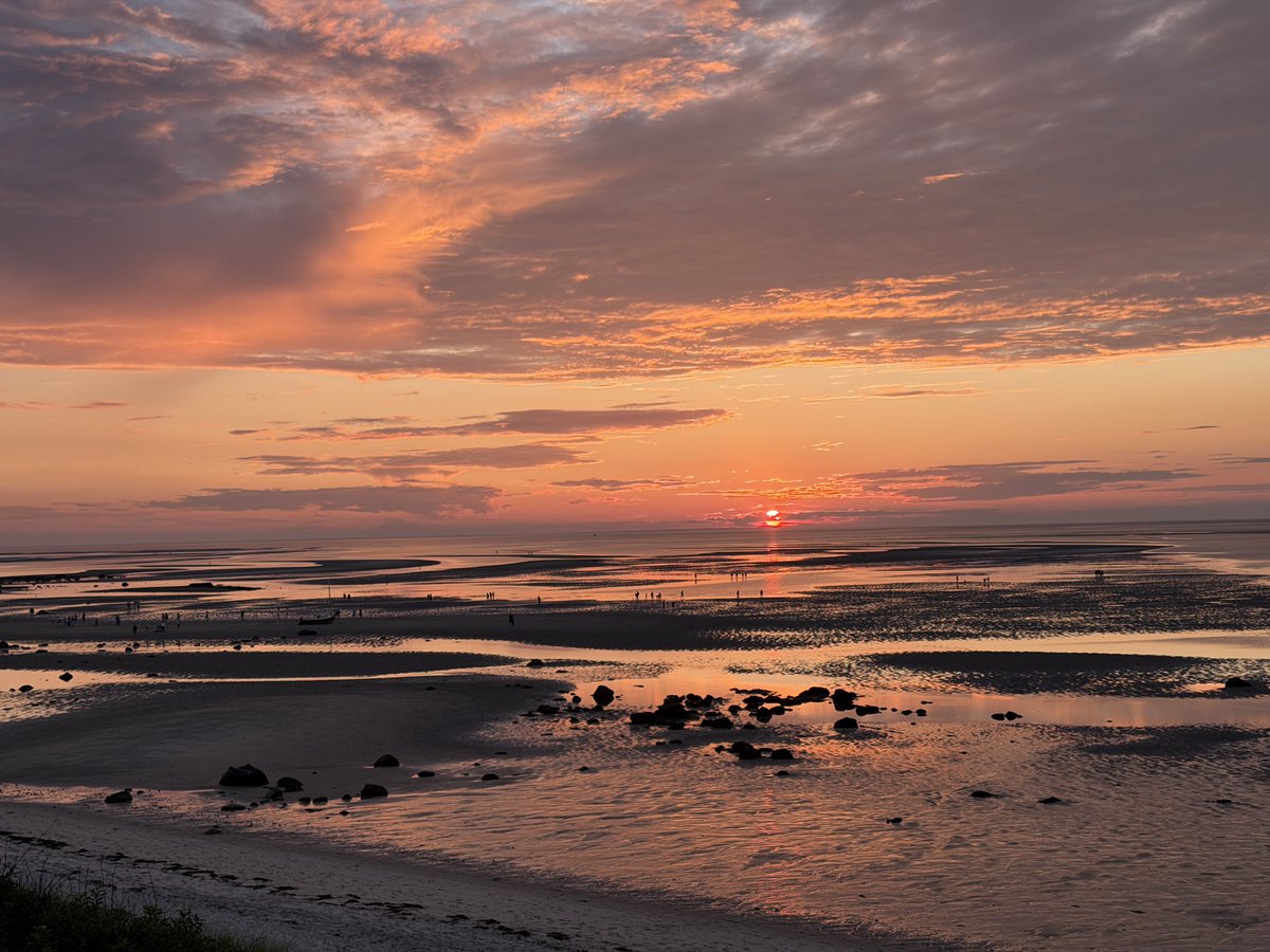 RealMassguy's tweet photo. Sunset on Cape Cod tonight https://t.co/9n3WmHeOQ7
