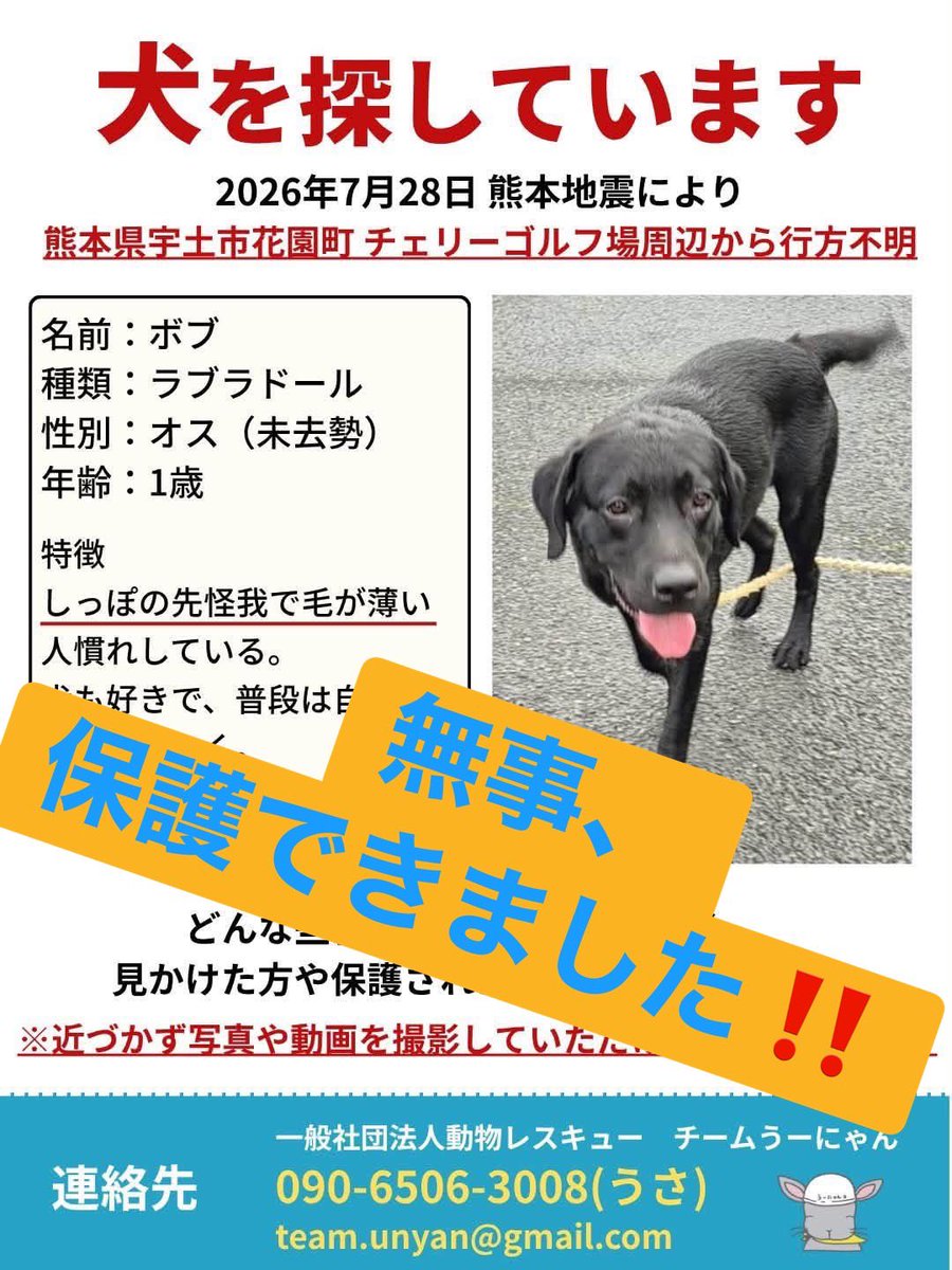 ____Usa's tweet photo. ✨嬉しいお知らせ✨
猫のミルクちゃん、ラブラドールのボブくん、無事に保護できました🙌

引き続き、行方不明の動物たちを全力で探します！ https://t.co/MwsNdZOfsv