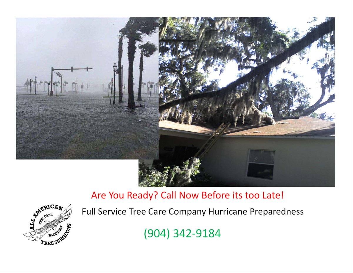 TreeShane's tweet photo. Storms are Picking up  ACT NOW
All American Tree Surgeons-ISA Certified Arborist on Staff
Your trusted local tree experts. Licensed, insured, and backed by a 4.5-star Google rating. Call us for a free estimate on any tree service!
(904) 342-9184 | https://t.co/L1Jviwfzyk https://t.co/yju5FfAerM