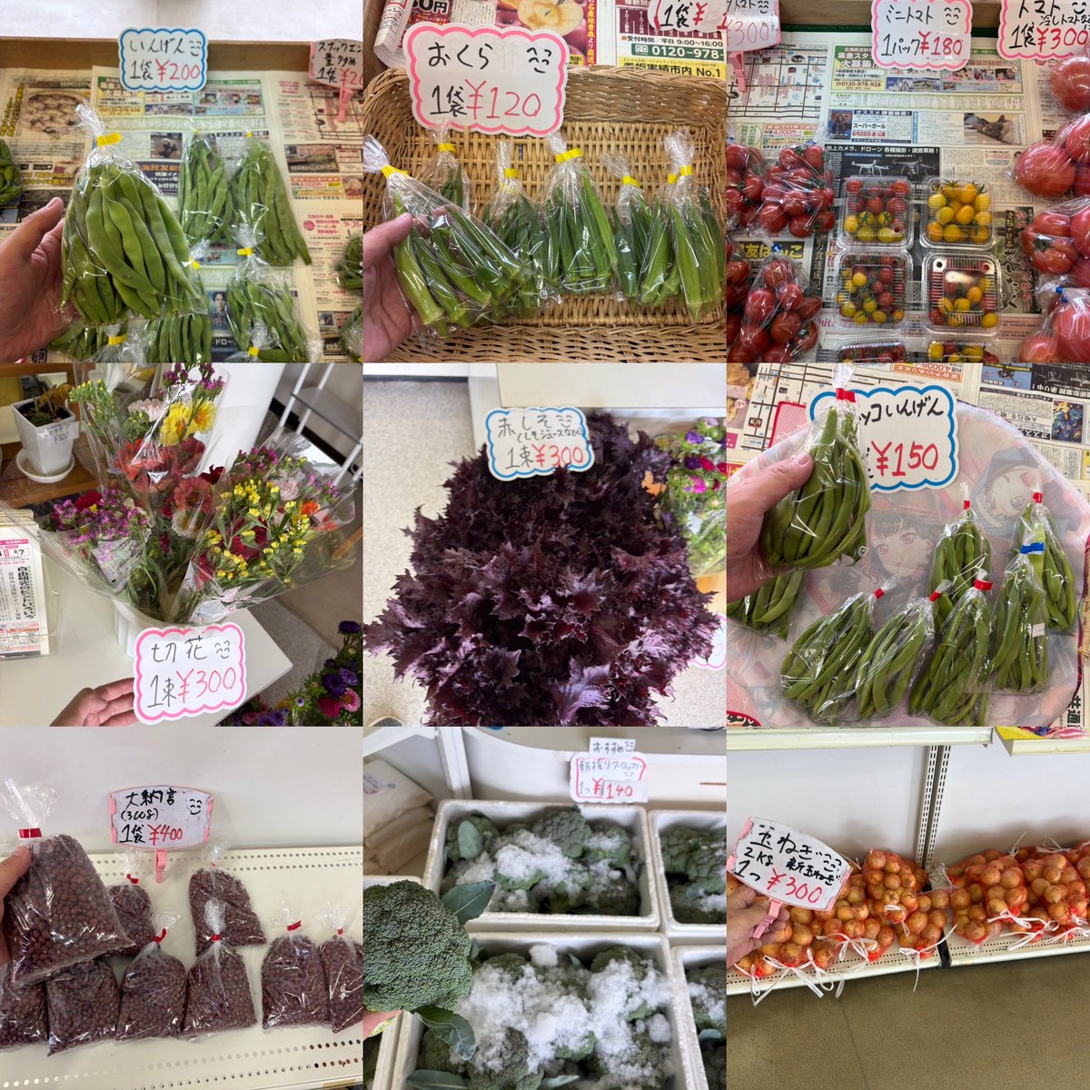 ryo4503's tweet photo. おはようございます
\( ´ω` )/🥒🧄🍅🥦🧅
朝採りブロッコリー
キャベツ等野菜
販売してます
お土産などにいかがですか？

朝10時ゆうゆう
野菜直売所開店です
商品のお問い合わせは
090-9438-1831にて
お願いします
#湧別
#野菜直売所
#野菜
#切り花
シソジュースなどに
#赤紫蘇 https://t.co/RsjycMyKVB