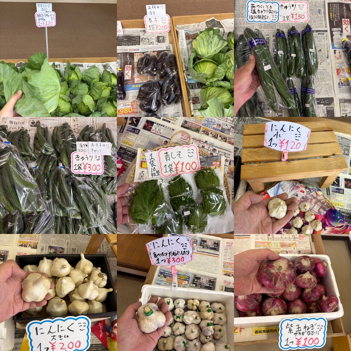 ryo4503's tweet photo. おはようございます
\( ´ω` )/🥒🧄🍅🥦🧅
朝採りブロッコリー
キャベツ等野菜
販売してます
お土産などにいかがですか？

朝10時ゆうゆう
野菜直売所開店です
商品のお問い合わせは
090-9438-1831にて
お願いします
#湧別
#野菜直売所
#野菜
#切り花
シソジュースなどに
#赤紫蘇 https://t.co/RsjycMyKVB