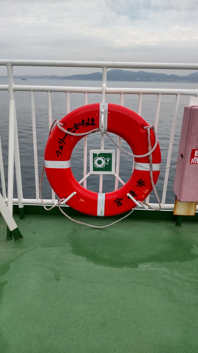 dh2519's tweet photo. いろんなのりもの乗って、修学旅行生徒とかに乗り合わせることはしばしばあるけど、 まさか甲子園出場の高校球児と一緒になるなんて🤩応援するよ✊‼️日南学園

大分と鹿児島代表は さんふらわあで来てるのかな❓️ https://t.co/zERF1jryml