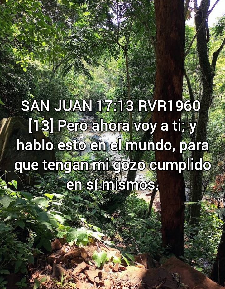 NEHEMIASLEAL's tweet photo. https://t.co/ih6Q7O70jP