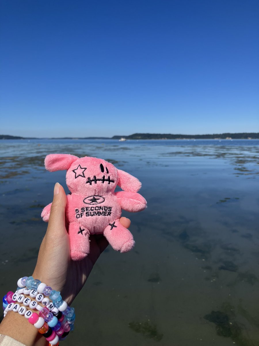 BR1GHTESTN1GHT's tweet photo. took ketchup on an adventure today!! https://t.co/XVnWxxfNrE