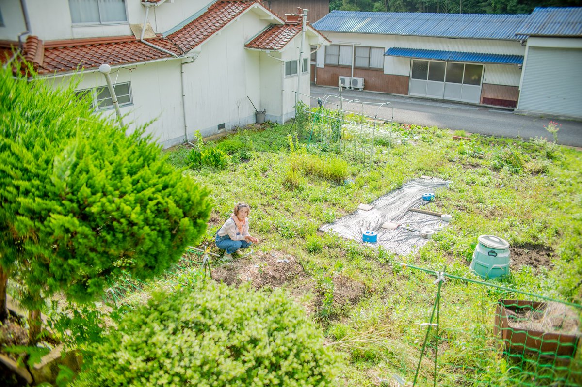 miharayuu's tweet photo. 6月5日
仕事部屋から見る畑のミチコさん。 https://t.co/yEKdMHIzWe
