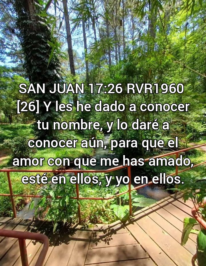 NEHEMIASLEAL's tweet photo. https://t.co/4h8TFkwDf7