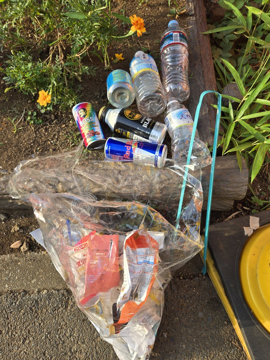 teruyooon's tweet photo. おはようございます👋😃☀️
お散歩🚶‍♀️ついでにゴミ拾い🗑️

蝉は朝から元気です🌟

私の住むマンションでも
毎年蝉の声がうるさい位でした。

今年はカメムシ駆除をしたようで
蝉も少なくなってしまいました。

少しでも自然が長持ちすることを
願います。

今日も良い1日を❣️

#ゴミ拾い #自然大切 https://t.co/gFuXw0xqmN