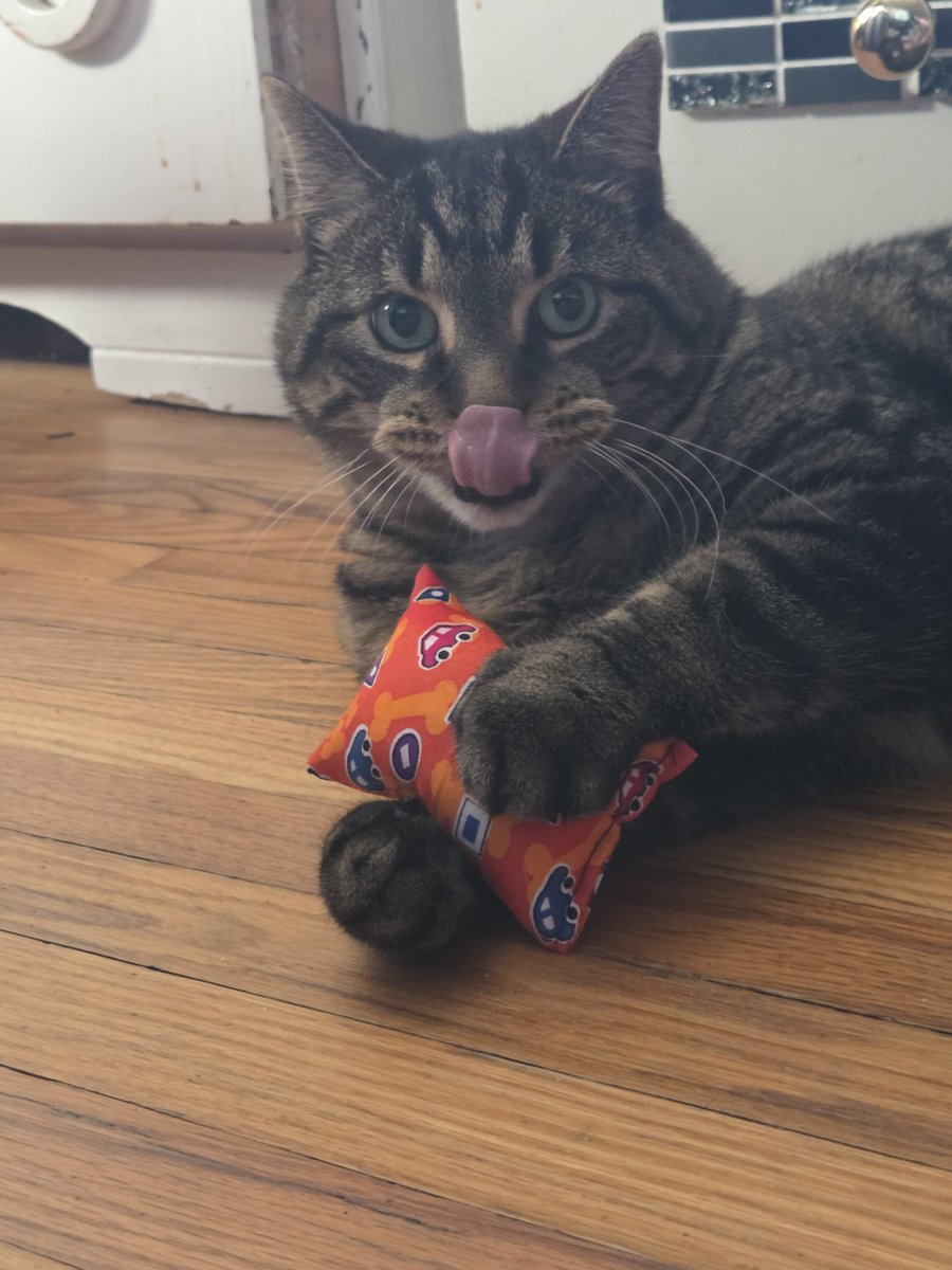 littleguybeemo's tweet photo. im doobing an hostile takeover of this twitir acount https://t.co/D4LXIc3imB