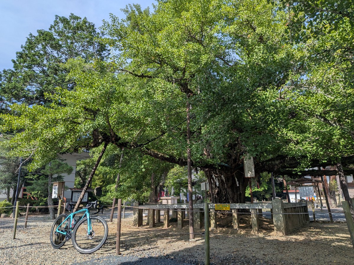 R_TanakaP's tweet photo. おはようございました #ロードバイク #roadbike #ビアンキ #bianchi #ridebianchi #サイクリング #cycling #infinitocv https://t.co/menUzH2RaH