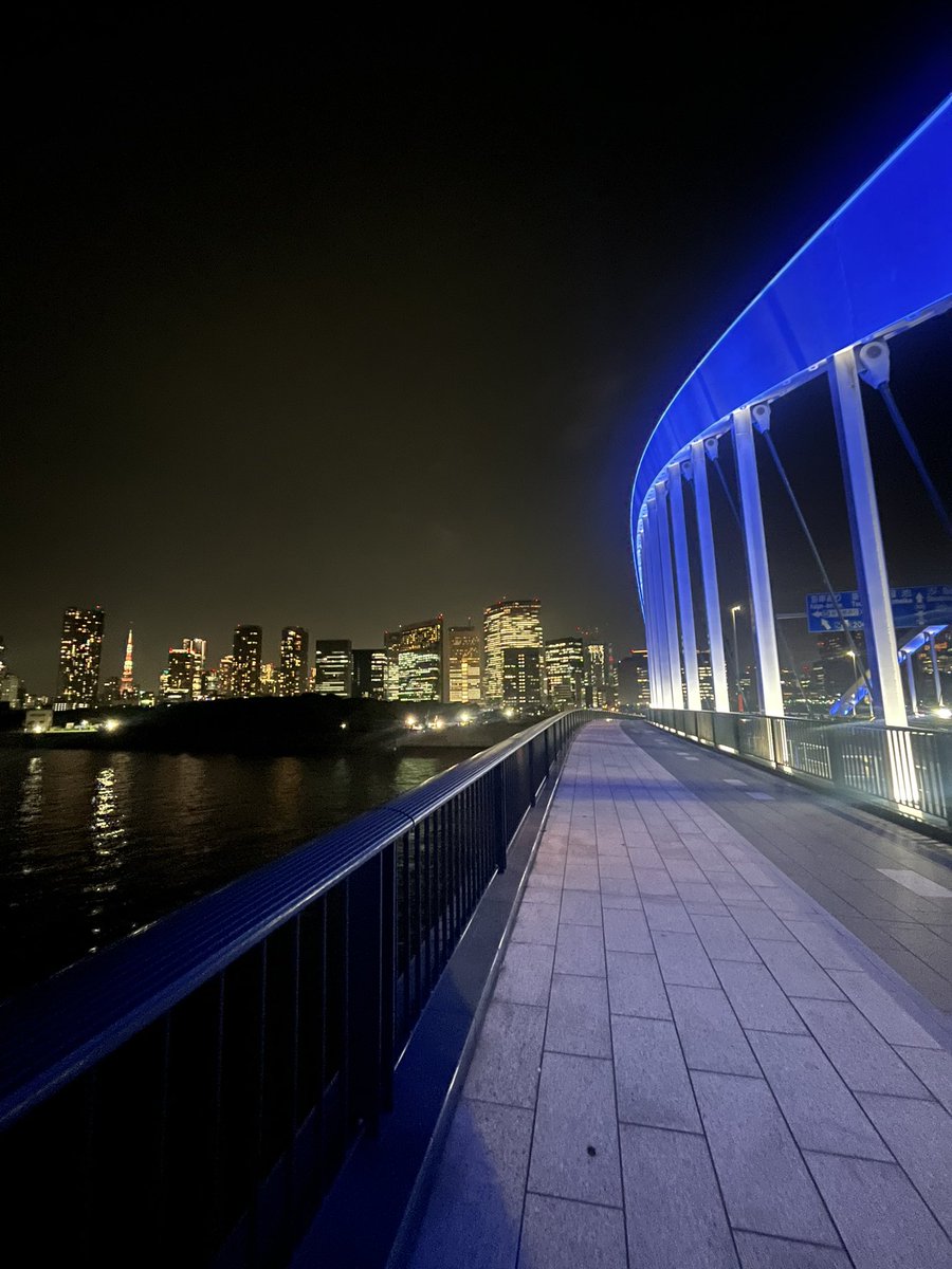 pyonko_71's tweet photo. 昨日病みすぎて無心でひたすらウォーキングしてたんだけど家出たの夜なのに12kmも歩いててビビった
夜景見てメンタル回復した😺 https://t.co/krZPFNTDaF
