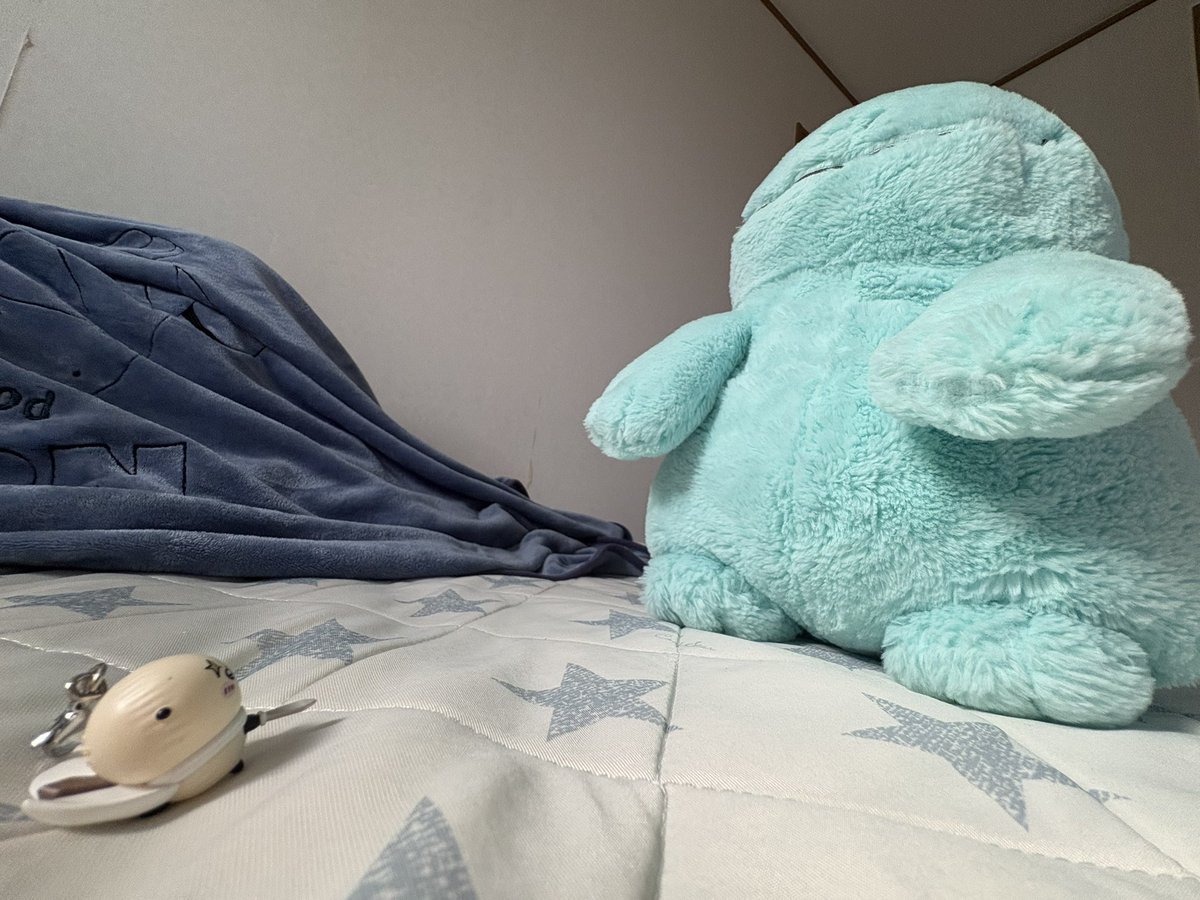 nuo_tane's tweet photo. ぬ！ぬおはでかつよじゃないからあんしんするだぬよ
どちらかと言うとでかかわだぬ
これから仲良くしようだぬ！ https://t.co/xfxEps1gXg