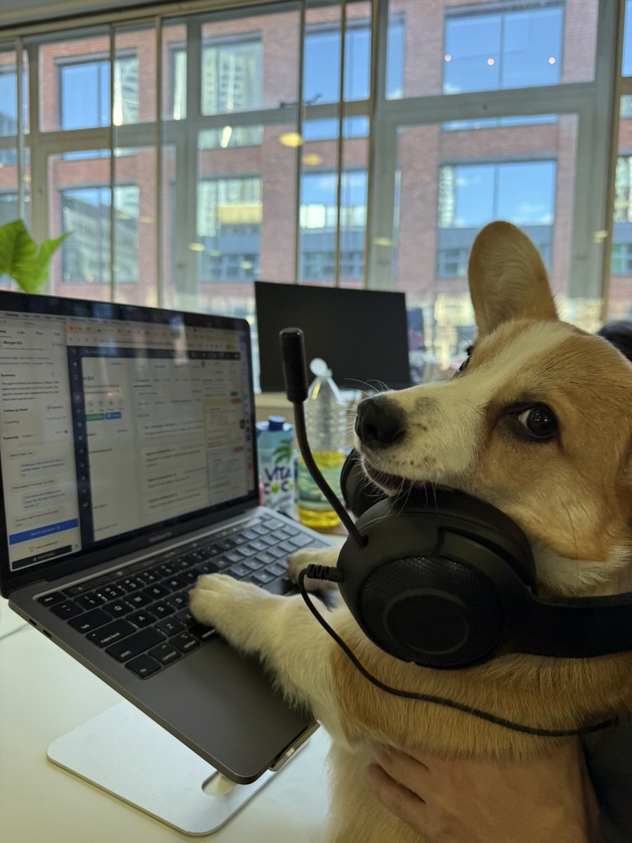 alestyy's tweet photo. This is who you’re targeting at the corgi protest btw https://t.co/rMI8AWi8IW