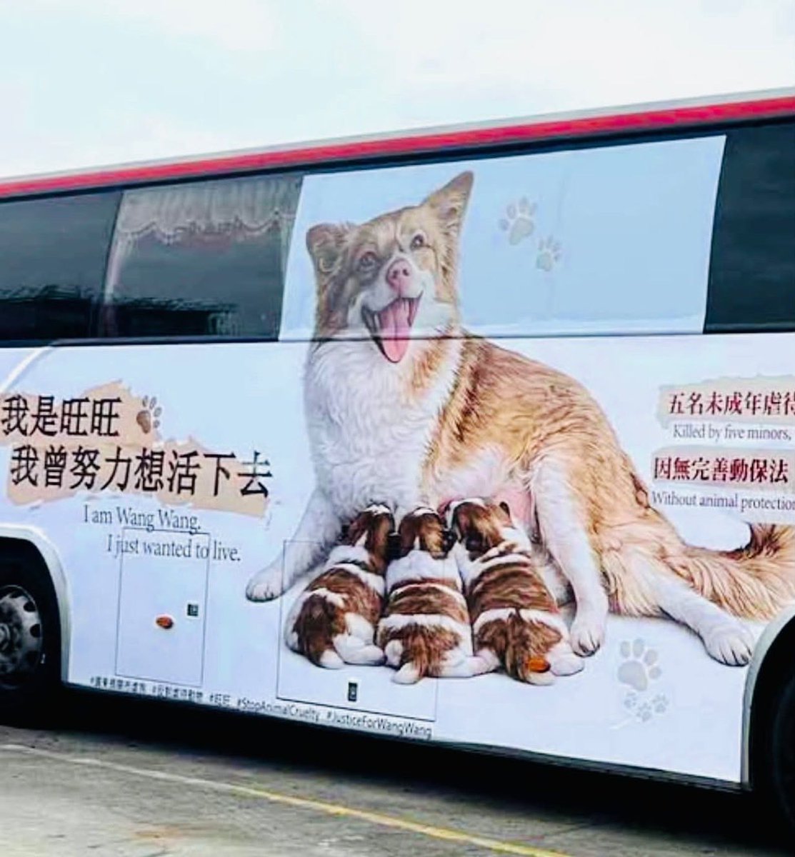 xie_wanjun's tweet photo. Speak up for Want Want! https://t.co/BLmv93U4uY