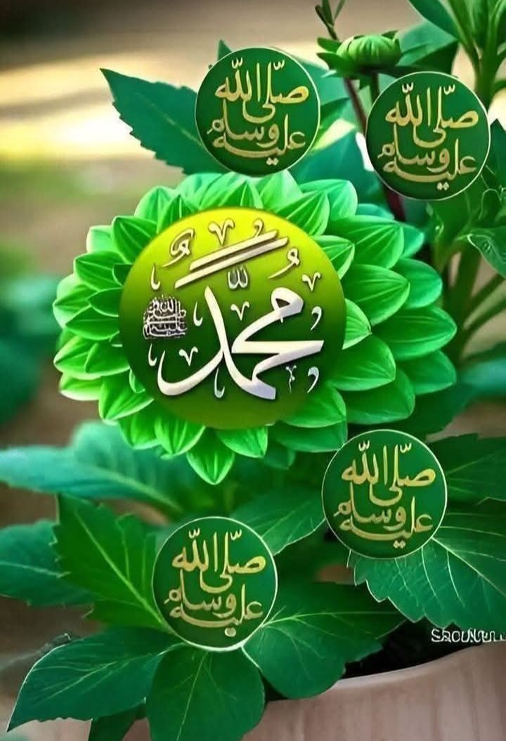 Ahmed2__8f's tweet photo. رسول الله ﷺ فرمایي:

کله چې کوم بنده درواغ وايي نو دده له بد بوی څخه ملائکه یو میل لرې ځي•

 (رواه ترمذی) https://t.co/pGPpC5q9Em