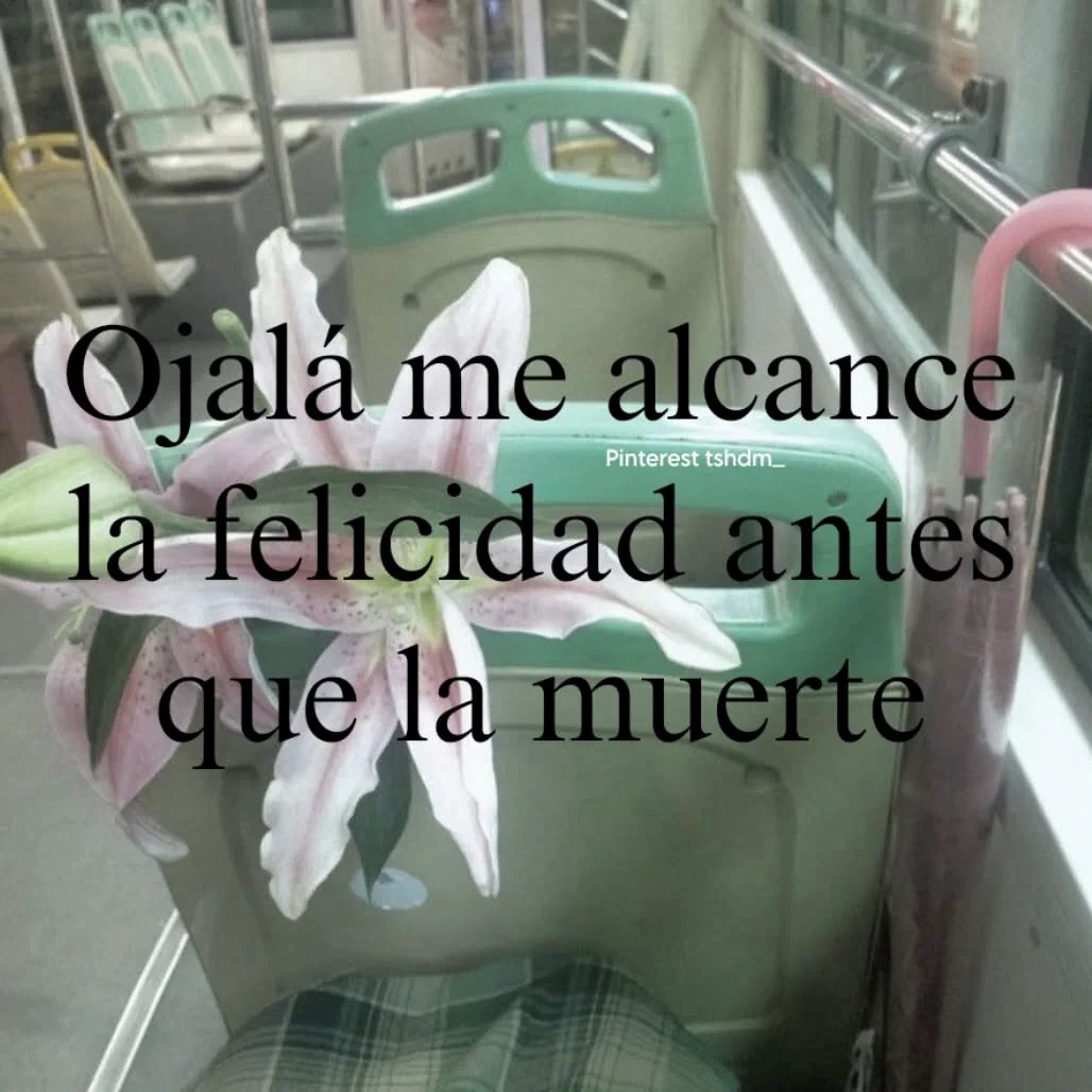 escritosrame's tweet photo. https://t.co/2hpEbqtDu0