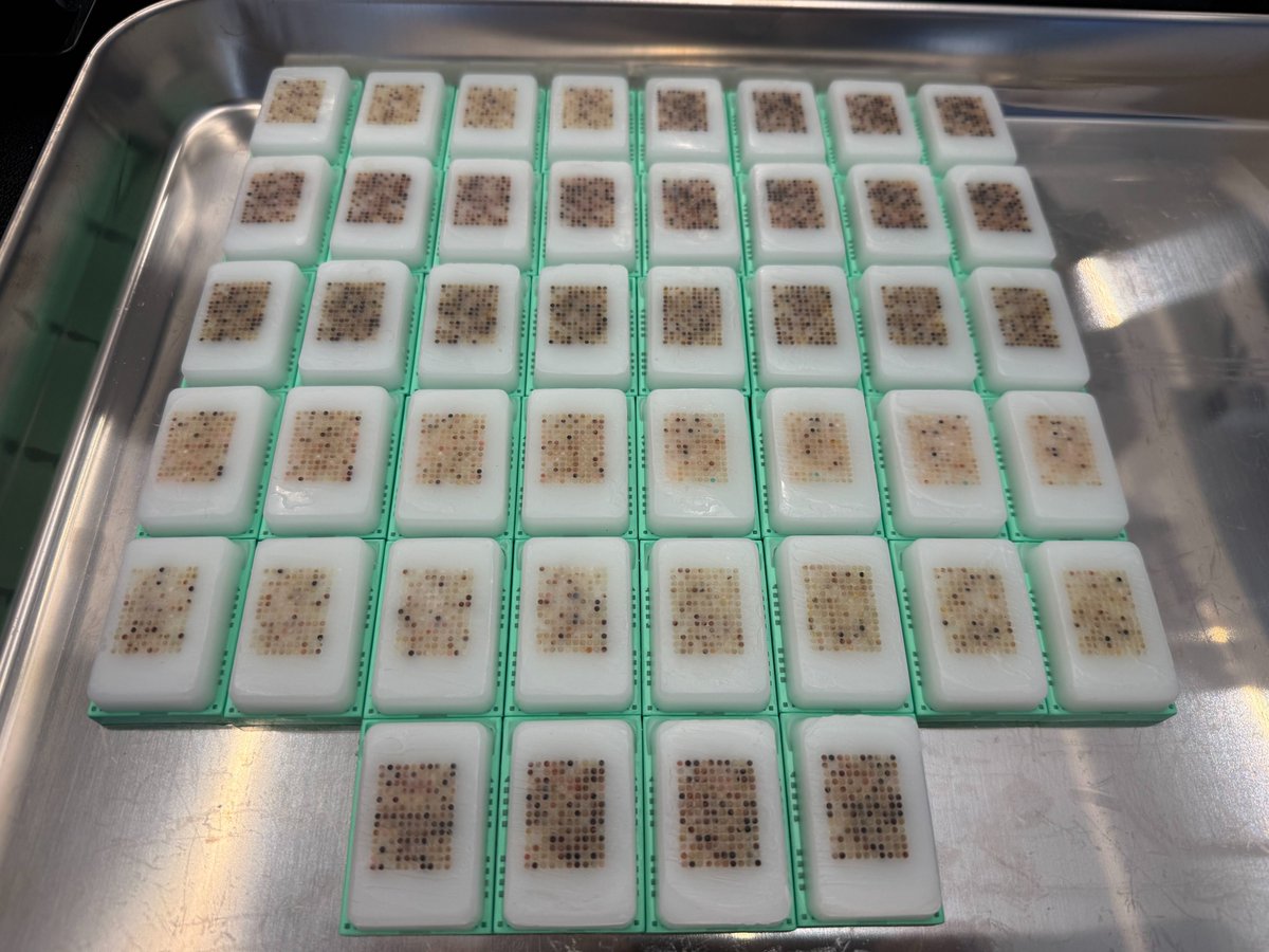 Ronalfa's tweet photo. This week in the cancer token factory: https://t.co/Cus3oj5KkW