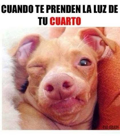 JonathanJim125's tweet photo. yo en las mañanas 
#meme #viernes https://t.co/UjJxJhhx1F