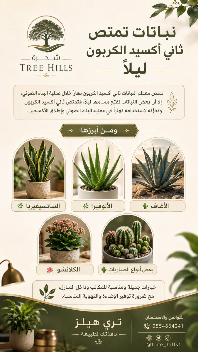 tree_hills1's tweet photo. نباتات تمتص ثاني أكسيد الكربون ليلاً 🍃 https://t.co/JqR8oUQ4Zb