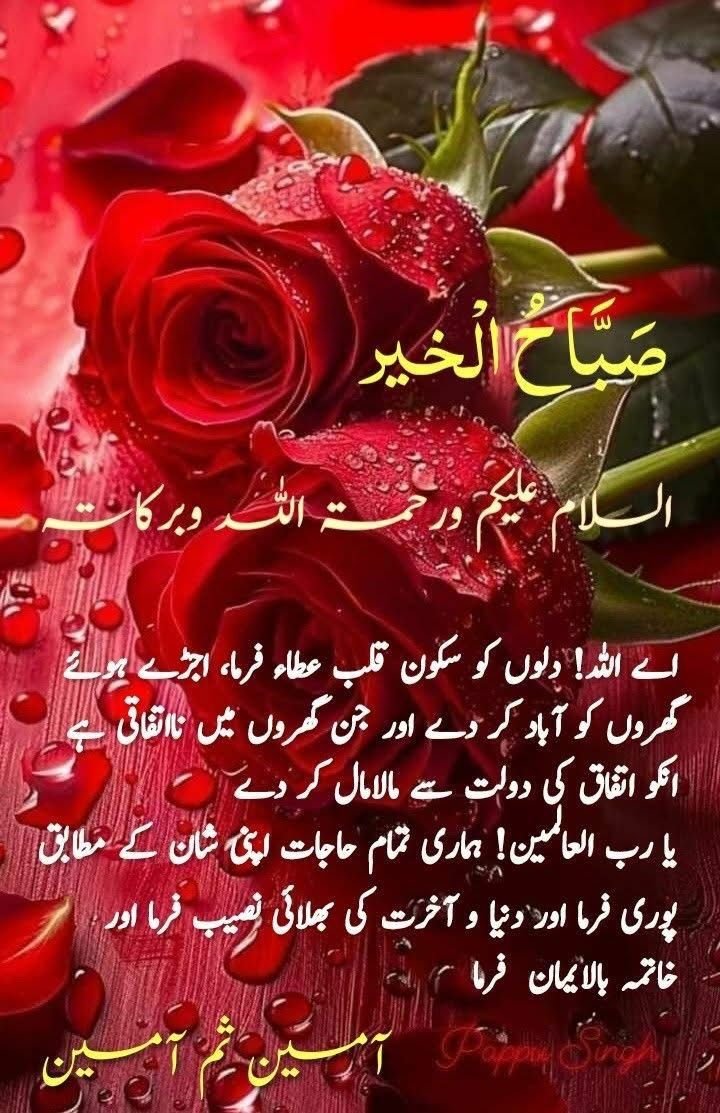 Azizazjan's tweet photo. السلام علیکم 
جو اندھا بھروسہ تم لوگوں پر کرتے ہو، وہ کبھی اللہ پر کرکے دیکھو۔ یقین کرو، وہ نہ کبھی بھروسہ توڑے گا اور نہ ہی تمہیں کبھی ٹوٹنے دے گا۔ ❤️
#داستان_دل https://t.co/T5NjpIi0tB