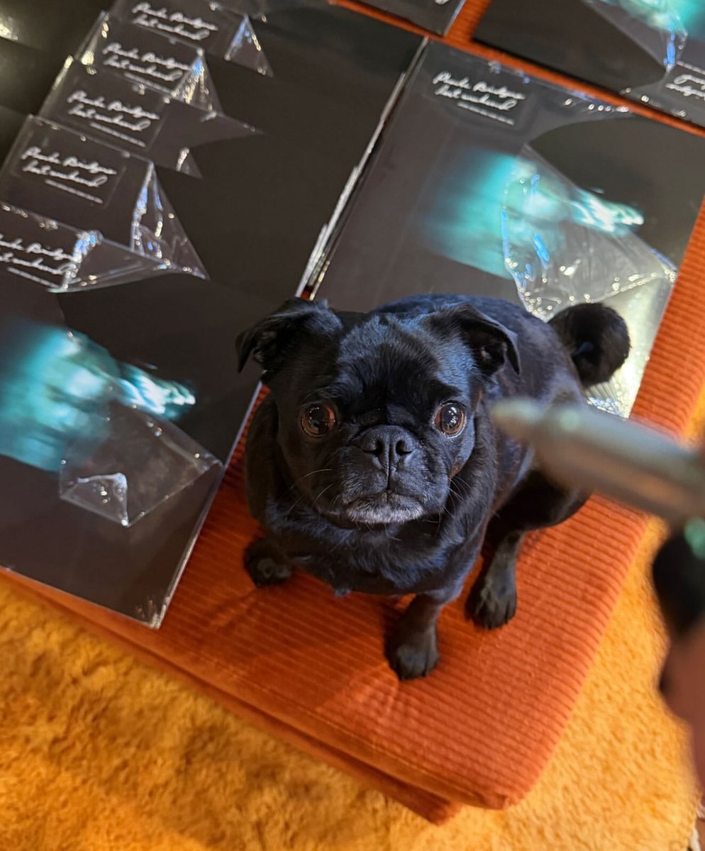 raspberhrriies's tweet photo. maxine and phoebe bridgers preparing to sign lost weekend vinyls!! https://t.co/bTX30kCkAT